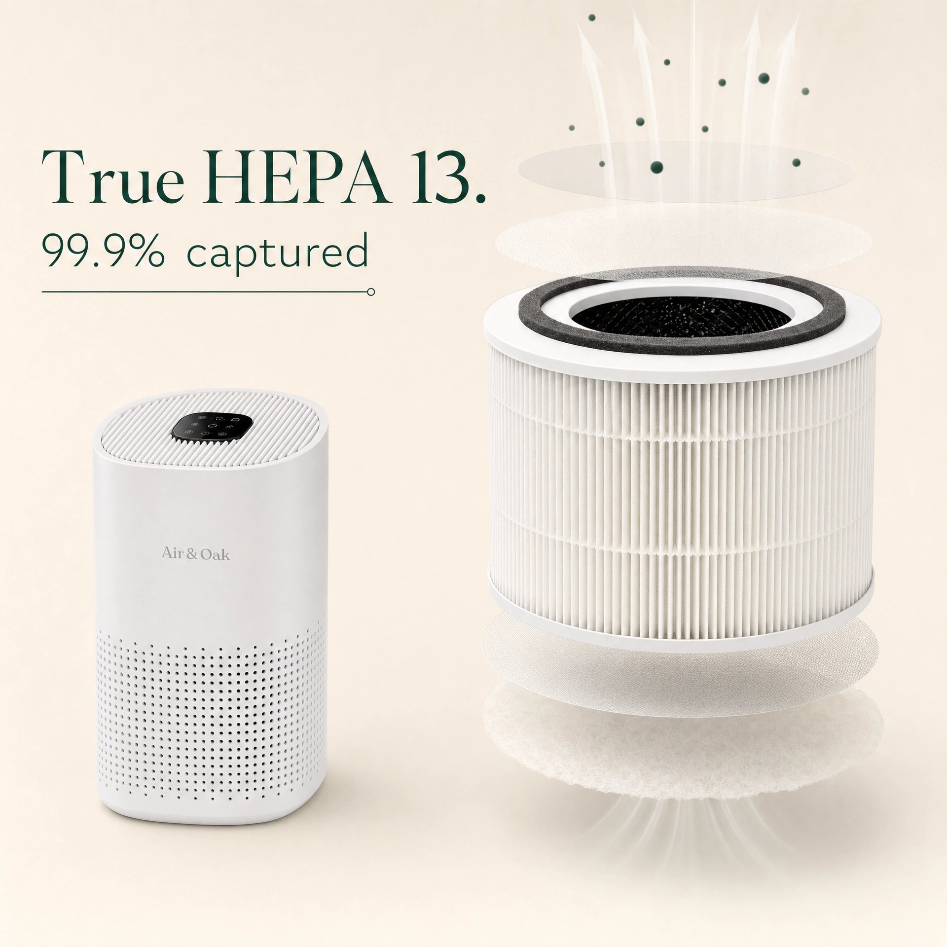 Air & Oak Air Purifier